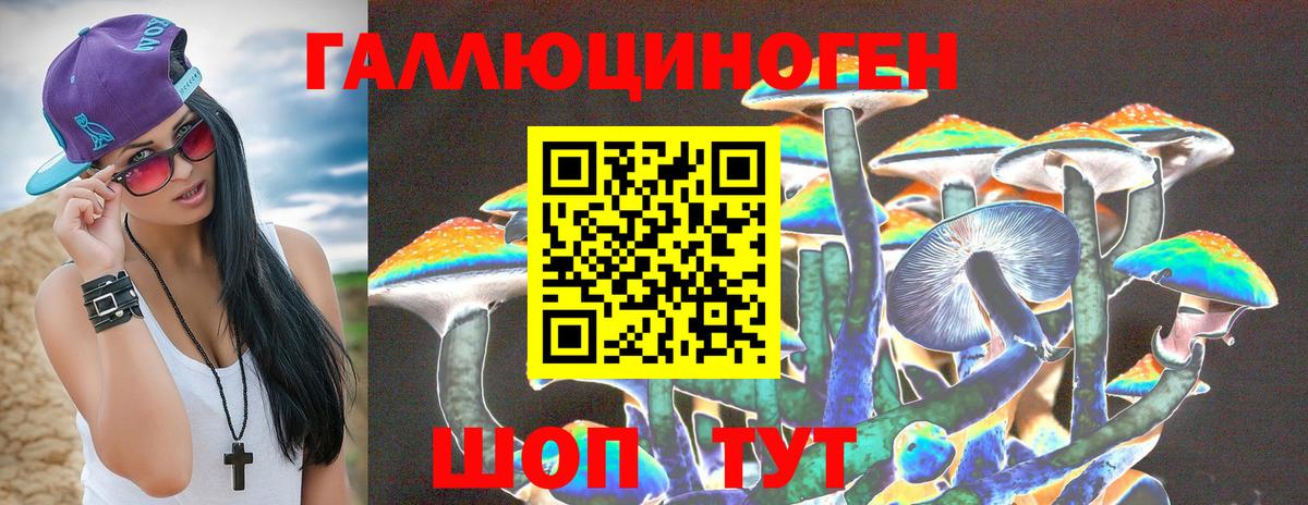 Мончегорск  цены наркотик  Вход с VPN  Галлюциногенные грибы Psilocybine cubensis 